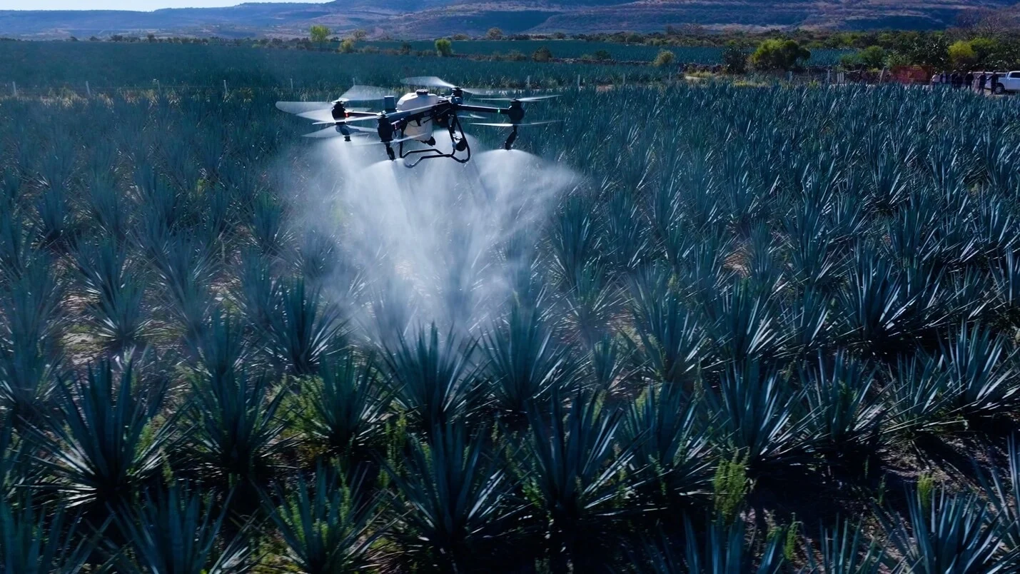 DJI-Agave-4.webp
