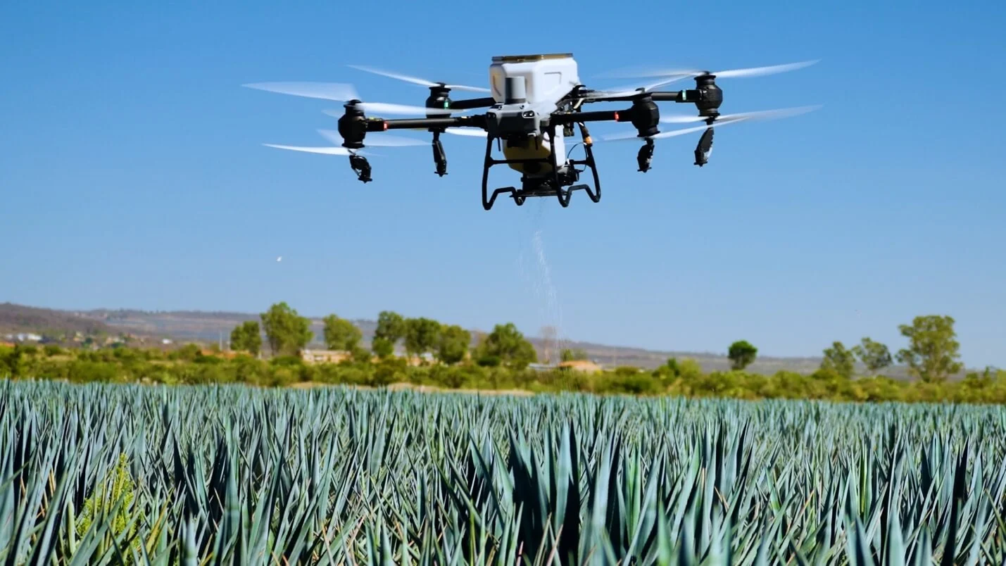DJI-Agave-5.webp