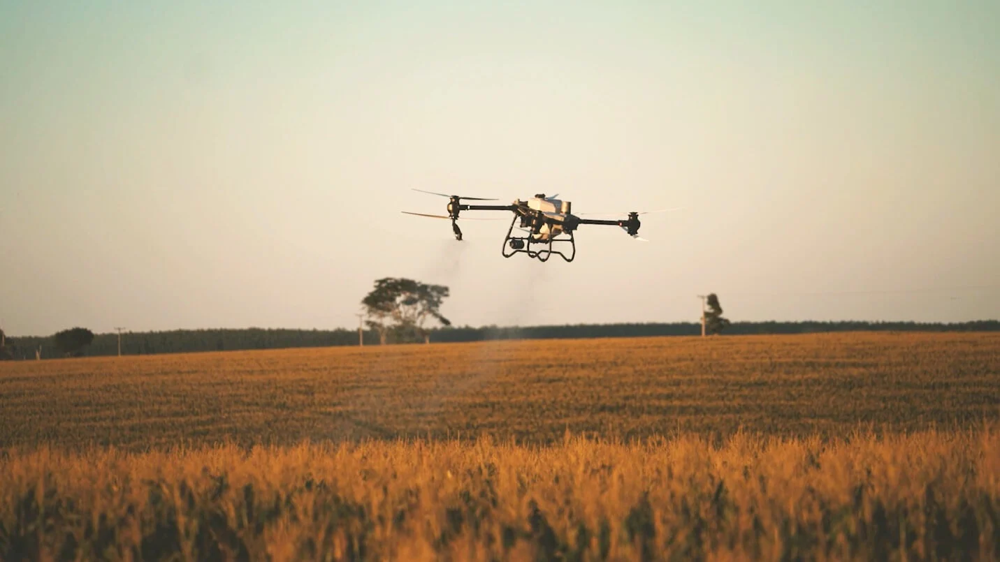 DJI Maiz 2