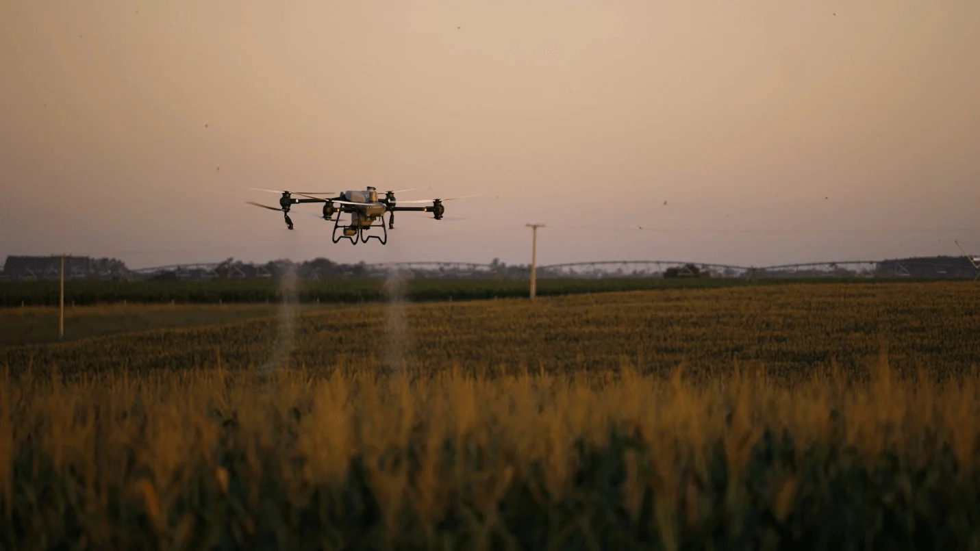 DJI-Maiz-3.webp