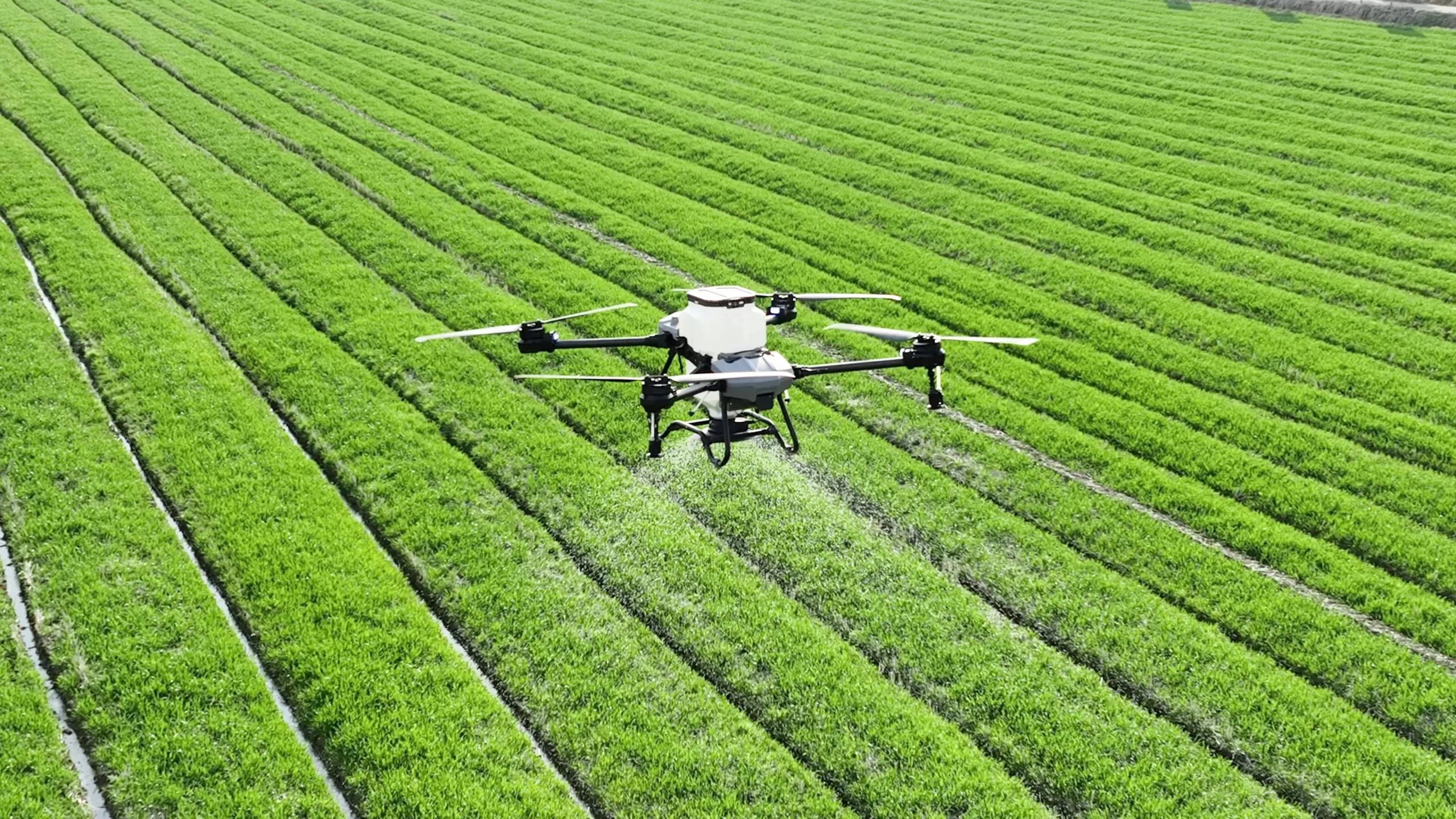 Drone 4